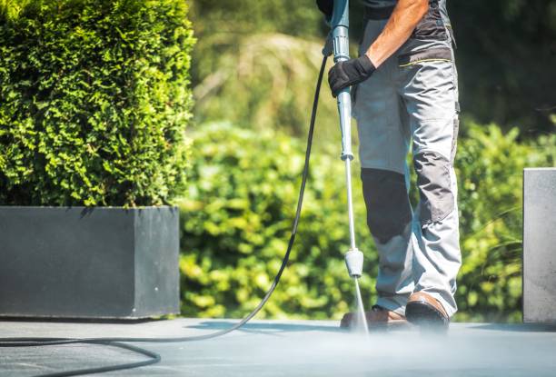 Best Gutter Cleaning  in Princeton Junction, NJ
