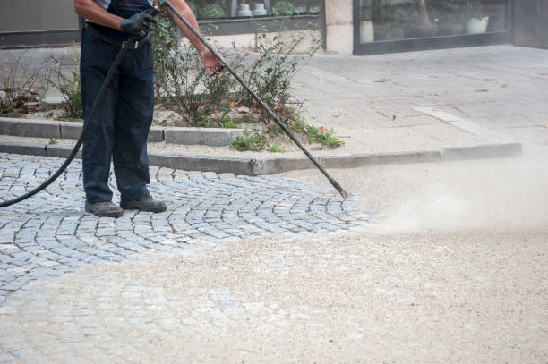 Best Roof Washing  in Princeton Junction, NJ